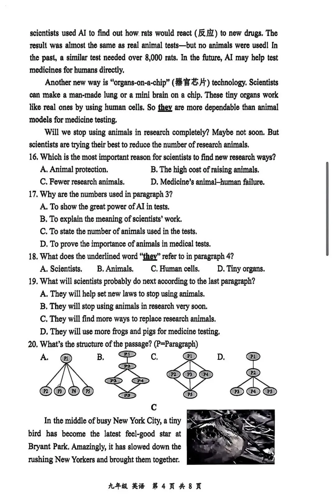 2026年深圳市宝安区二模英语真题 第4张