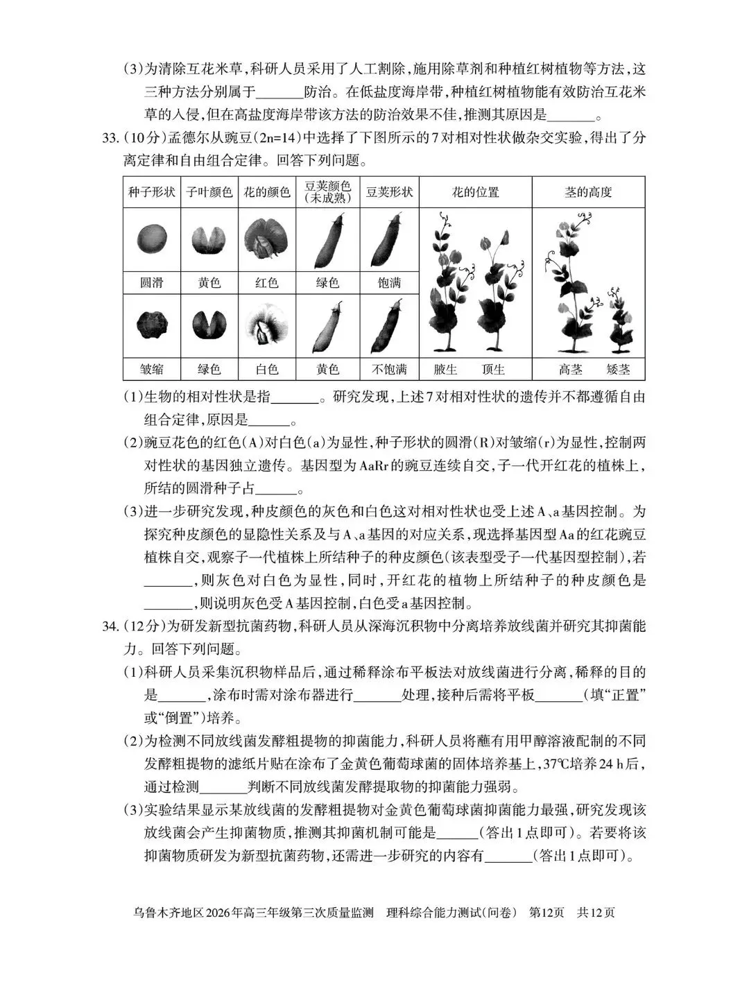 2026年乌鲁木齐高三三模 理综试卷+答案 第13张