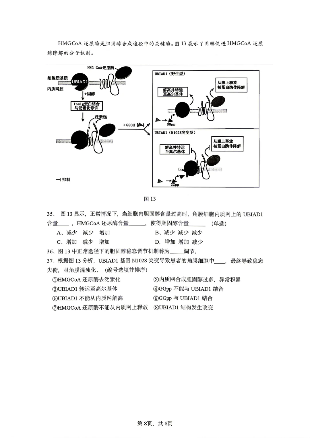 【SH高中四校八大试卷群更新】上海市七宝中学2025-2026学年高二下学期期中考试生物 第7张