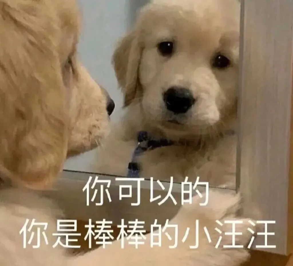 雅思机经是什么?雅思机经真题有什么用?附:近年雅思全科机经合集 第4张