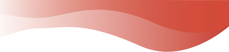 2026中考押题卷:沈阳五区教研员联手打造 第1张