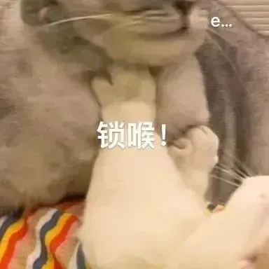 雅思机经是什么?雅思机经真题有什么用?附:近年雅思全科机经合集 第10张