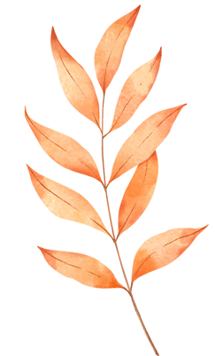 【解析+试卷】4月28日山西重点中学2025-2026高三二模11176C全科汇总! 第8张