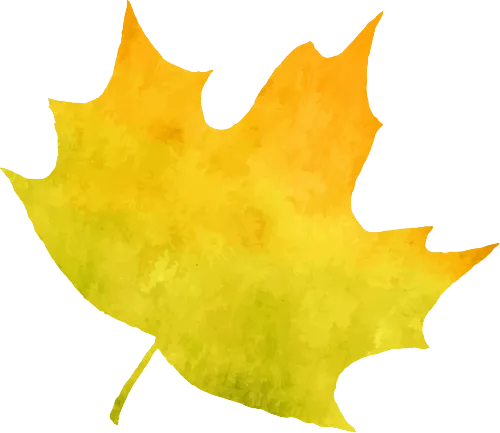 云天职教高三年级第三次模拟考试圆满落幕——全真模拟高考流程,助力学子备战高考 第32张