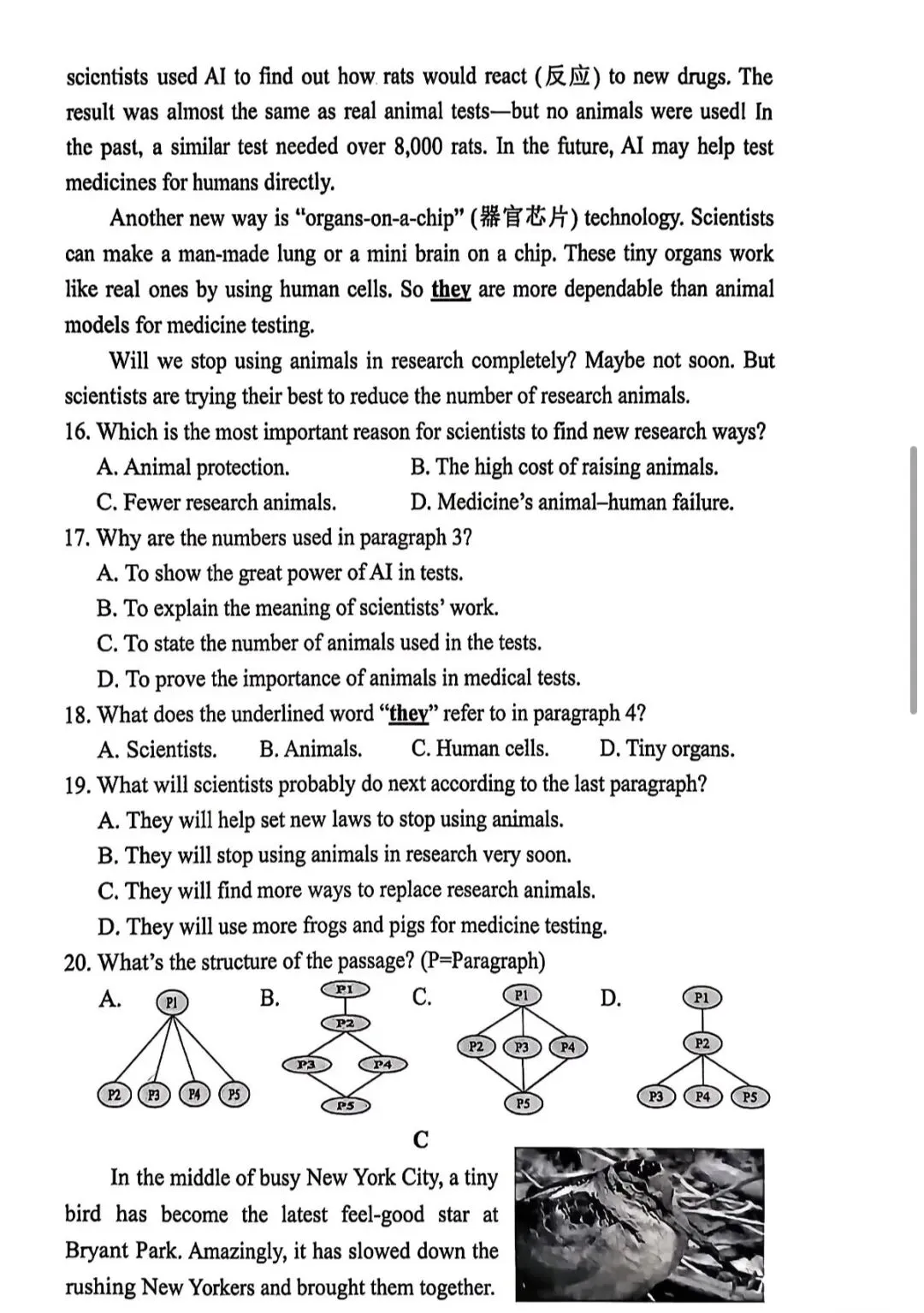 2026宝安区中考二模全科试题+参考答案出炉 第16张