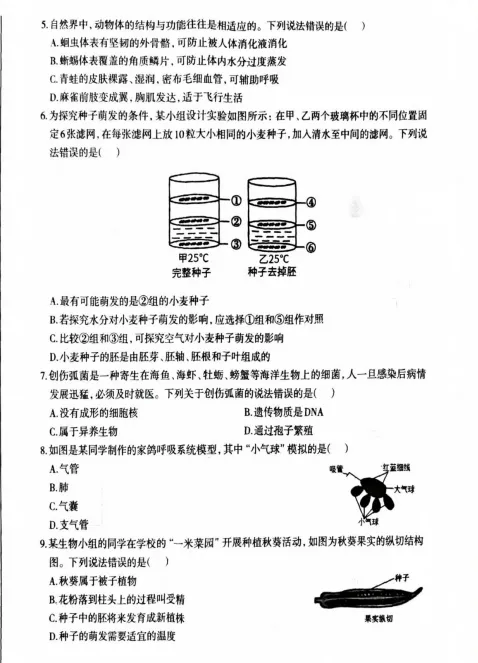 2025年两市一模真题!练起来啦!! 第13张