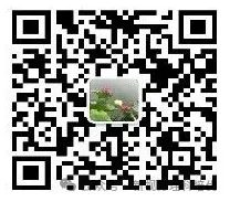 广州中考数学一模第16题的深度挖掘 第11张