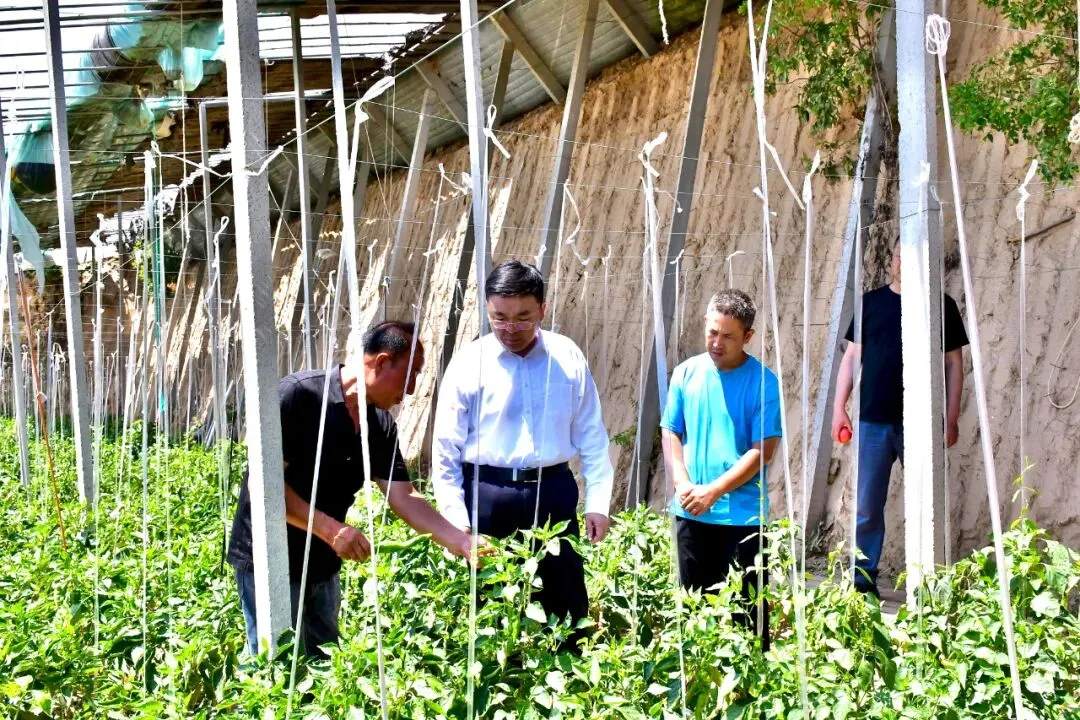 中考成绩今日可查/山西电子科技学院招聘/市商务局公示 第11张