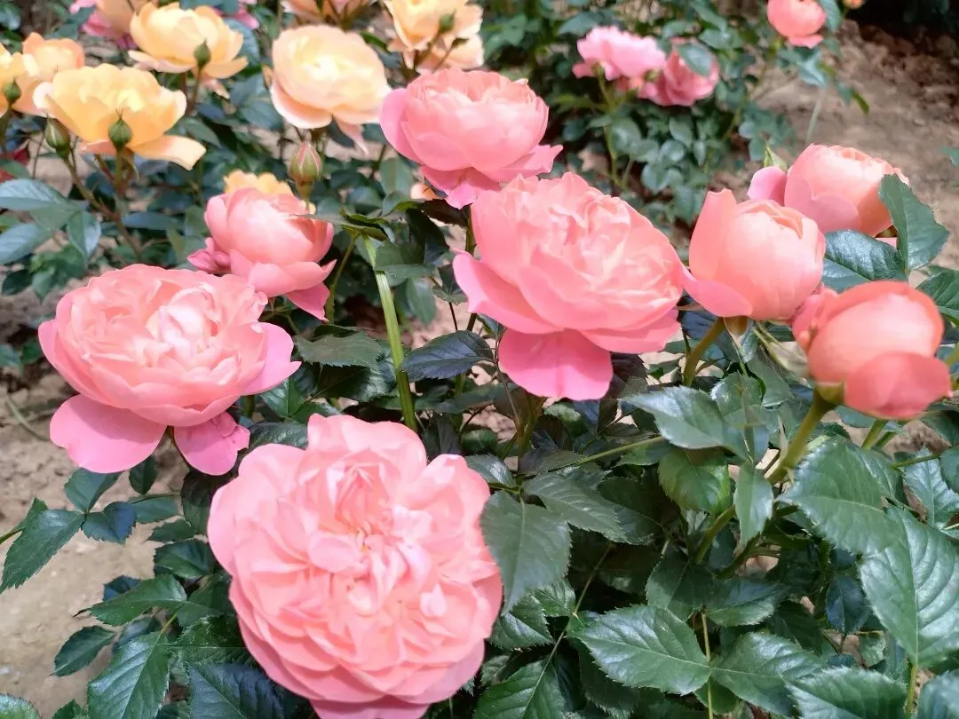 期中考后如何指导学生分析试卷 第1张