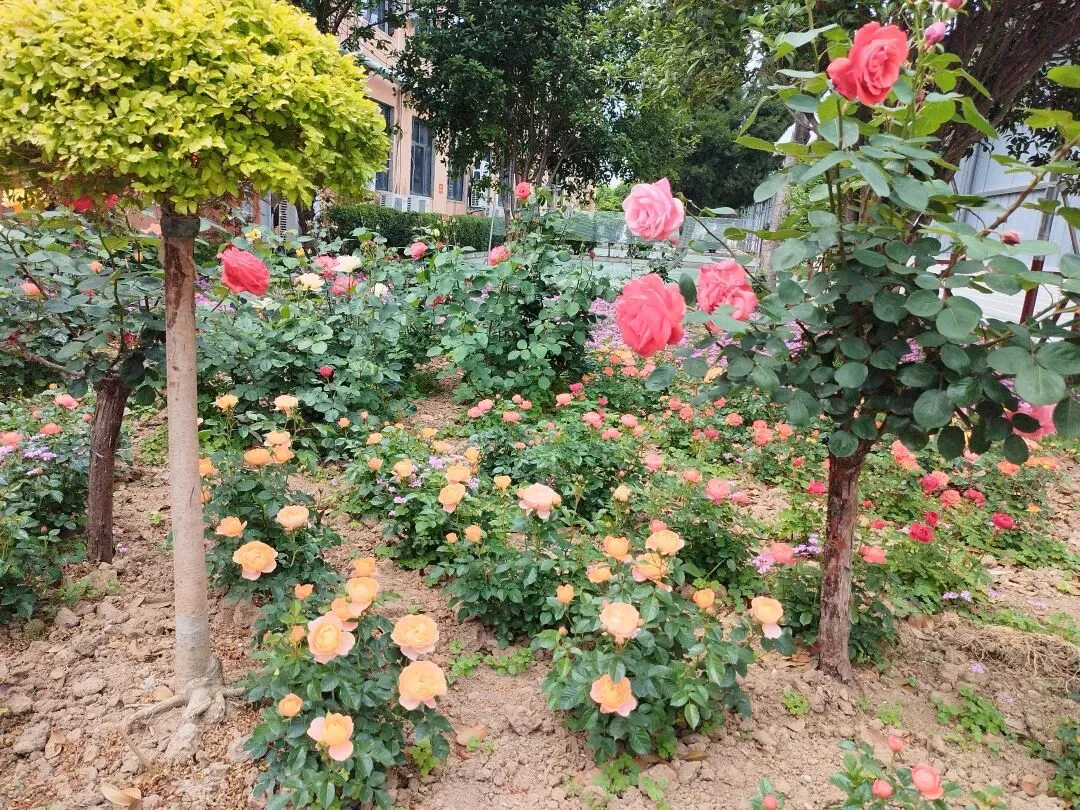 期中考后如何指导学生分析试卷 第2张