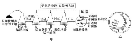 生物试题 | 2026年高考第二次模拟考试(黑吉辽蒙专用)学易金卷02-生物试题 第13张