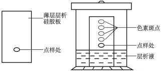 生物试题 | 2026年高考第二次模拟考试(黑吉辽蒙专用)学易金卷02-生物试题 第15张