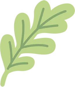 考试出分后是否有必要抄写整张试卷 第9张