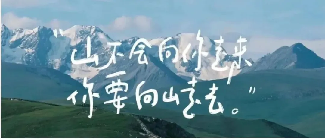 2026年湖南中考株洲市模拟考试化学试题 第8张