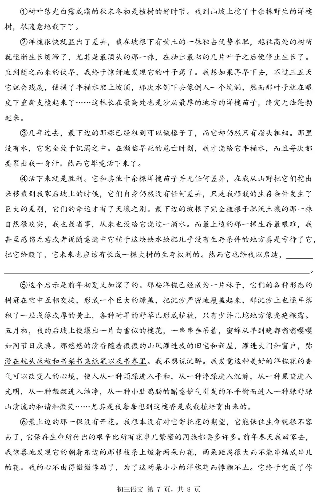 2026中考语文复习:深圳市中考一模试卷,可下载 第10张