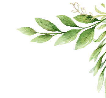 金桥教育集团初中校初三中考复习研讨活动有序开展 第9张