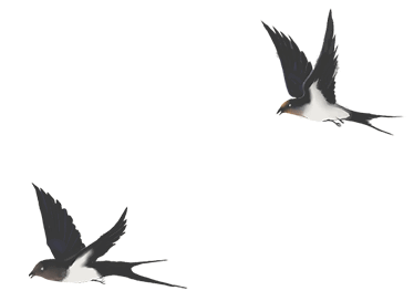 金桥教育集团初中校初三中考复习研讨活动有序开展 第11张