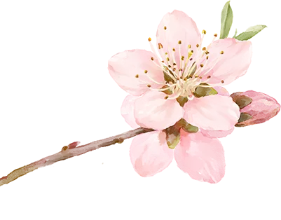 金桥教育集团初中校初三中考复习研讨活动有序开展 第12张