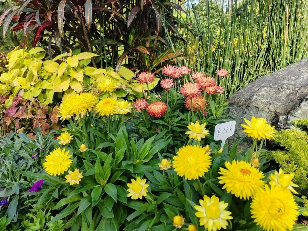 勿忘那碗热汤(中考高分作文) 第1张