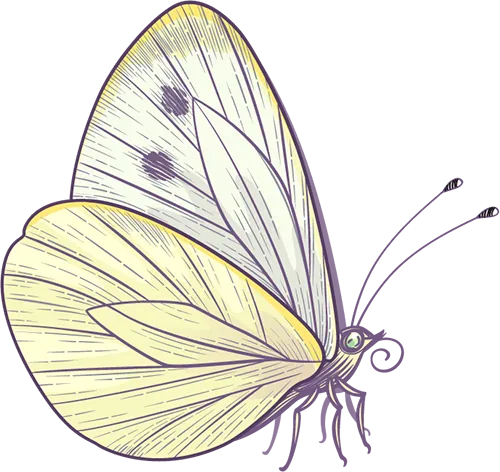 作文素材 ▏中考语文:同学●友谊篇 第9张