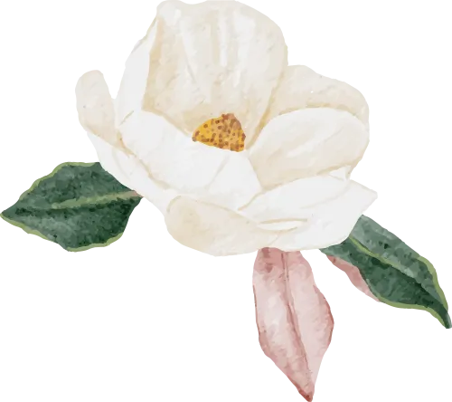 作文素材 ▏中考语文:同学●友谊篇 第10张