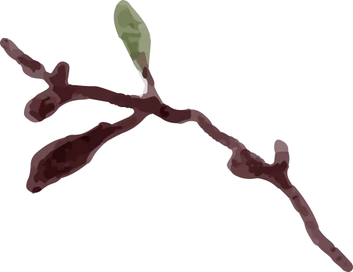 作文素材 ▏中考语文:同学●友谊篇 第11张