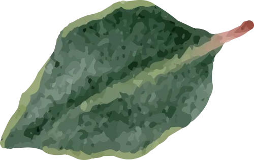 作文素材 ▏中考语文:同学●友谊篇 第12张