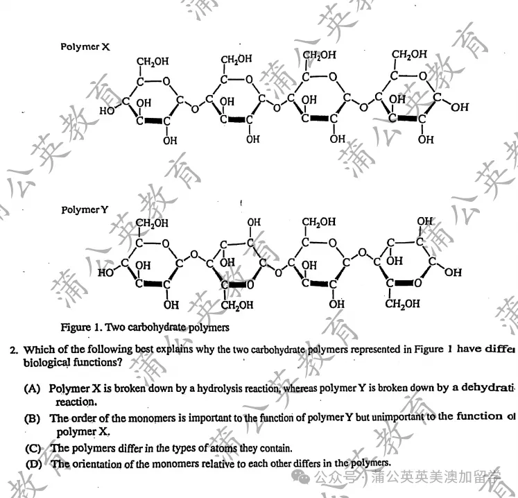 【超全真题免费下载】历年AP真题题库大全+答案汇总(完整PDF电子版本)!附上海蒲公英5月AP考前预测点题班 第10张