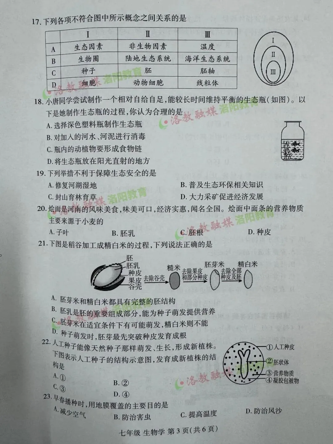 洛阳期中试卷出炉! 第27张