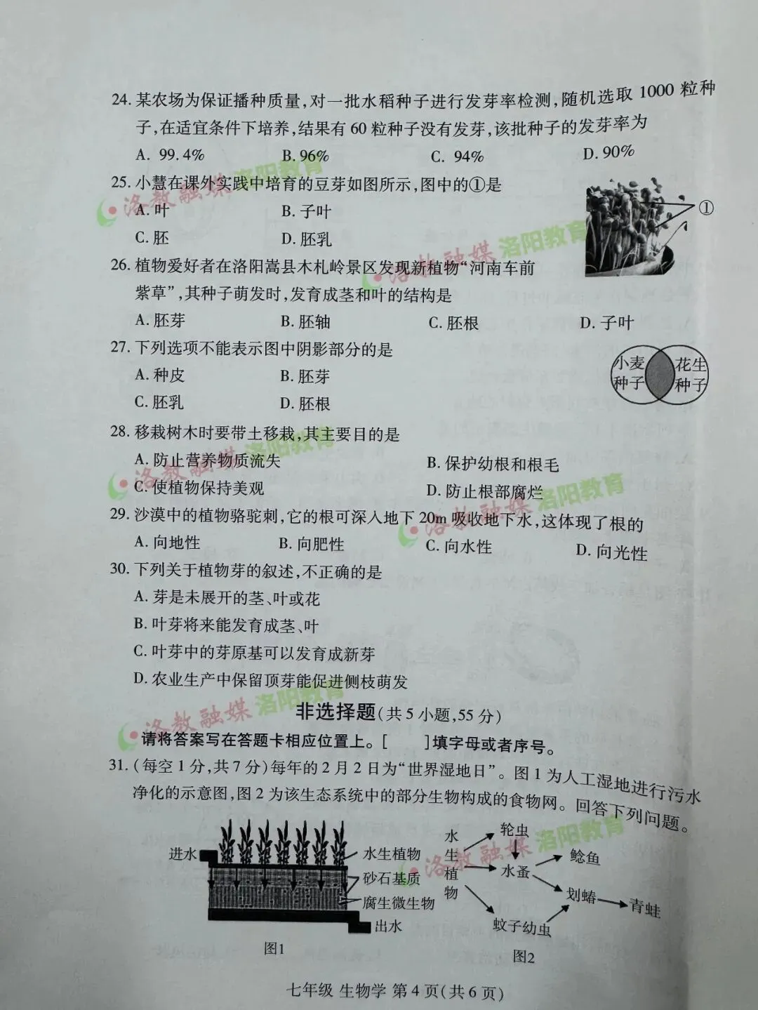 洛阳期中试卷出炉! 第28张