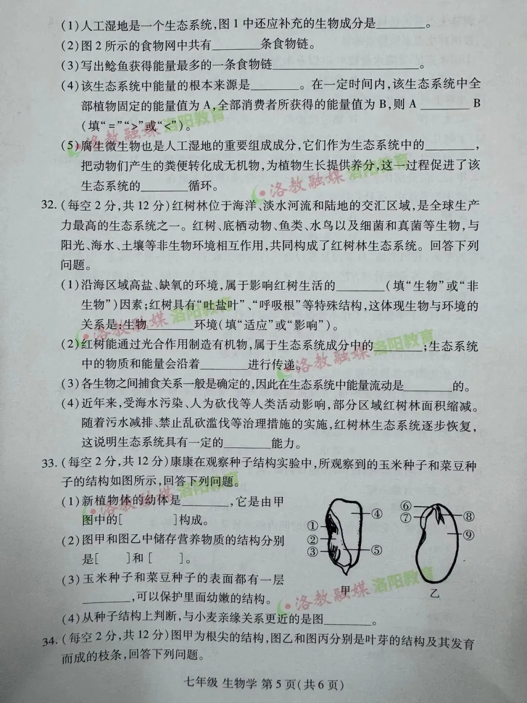 洛阳期中试卷出炉! 第29张