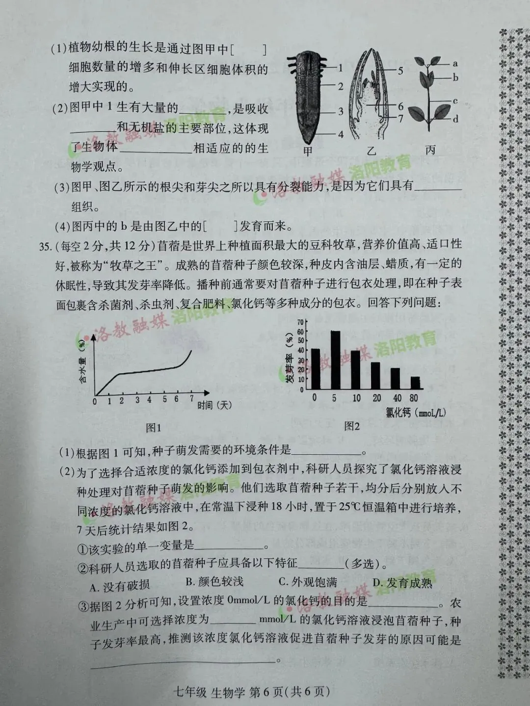 洛阳期中试卷出炉! 第30张