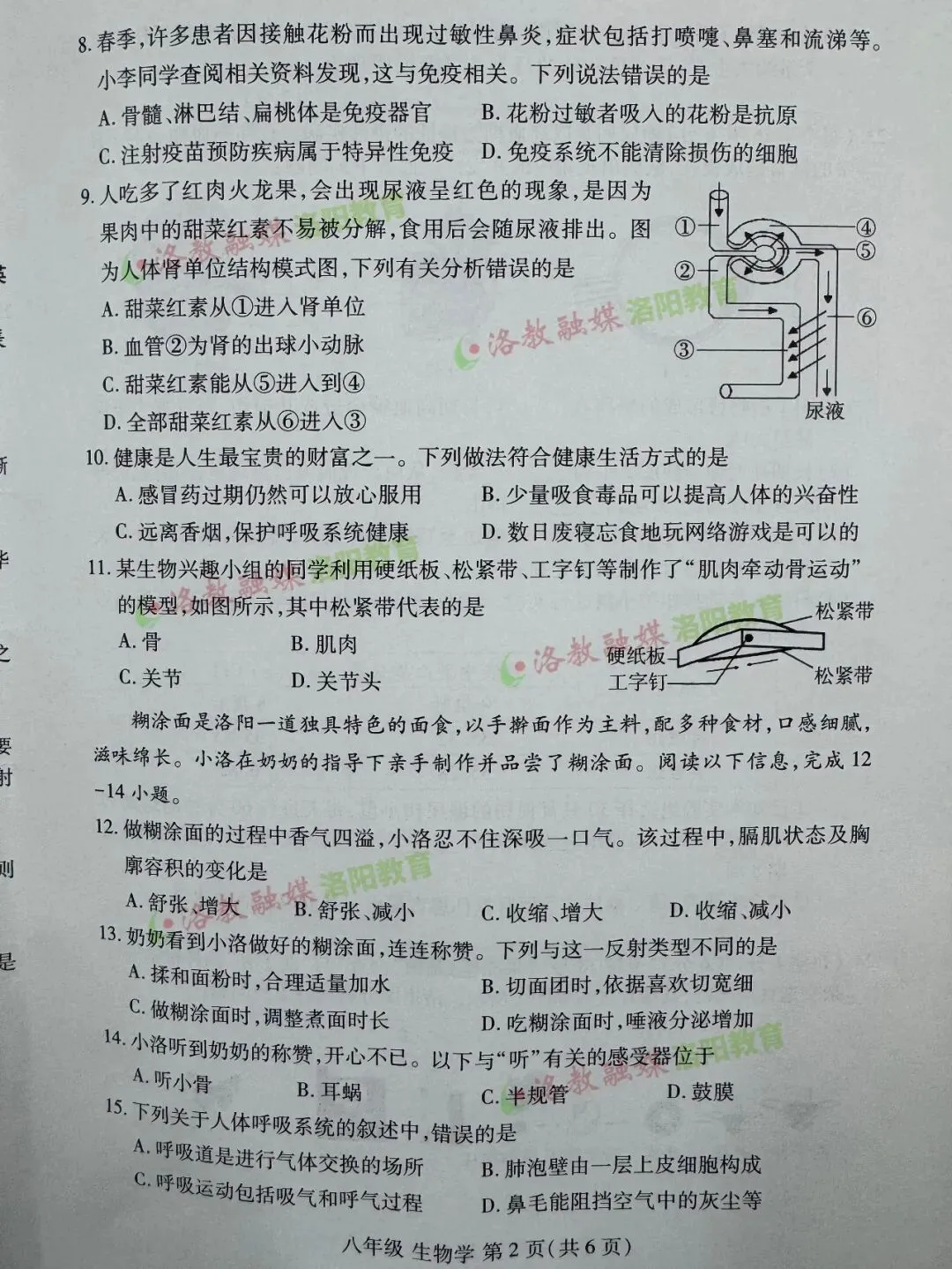 洛阳期中试卷出炉! 第52张