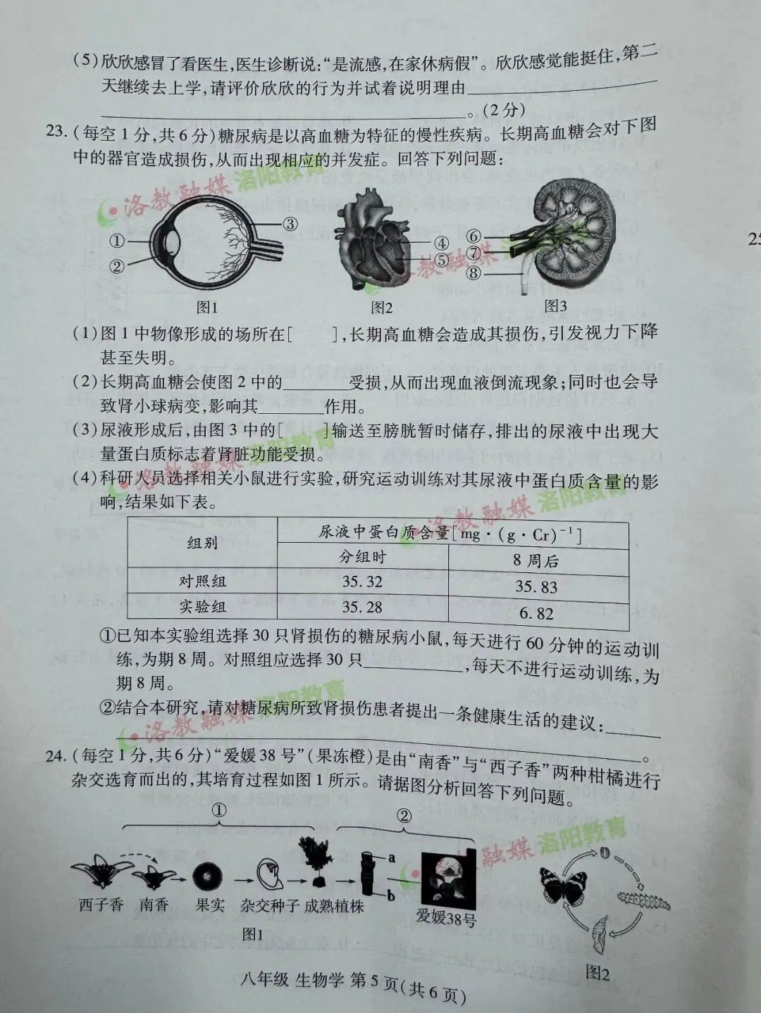 洛阳期中试卷出炉! 第55张