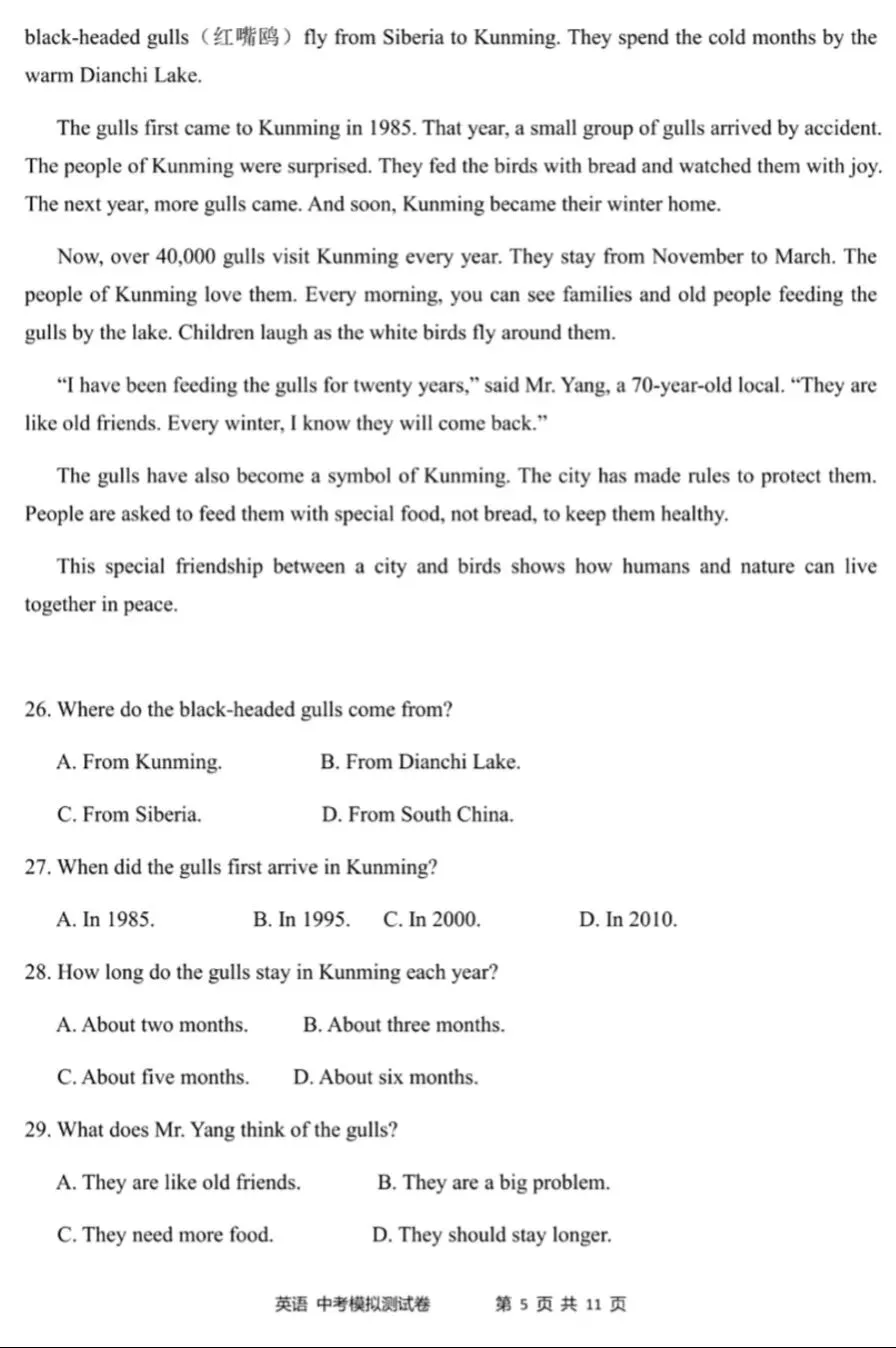 2026年云南省初中学业水平模拟测试英语试题卷(6) 第5张