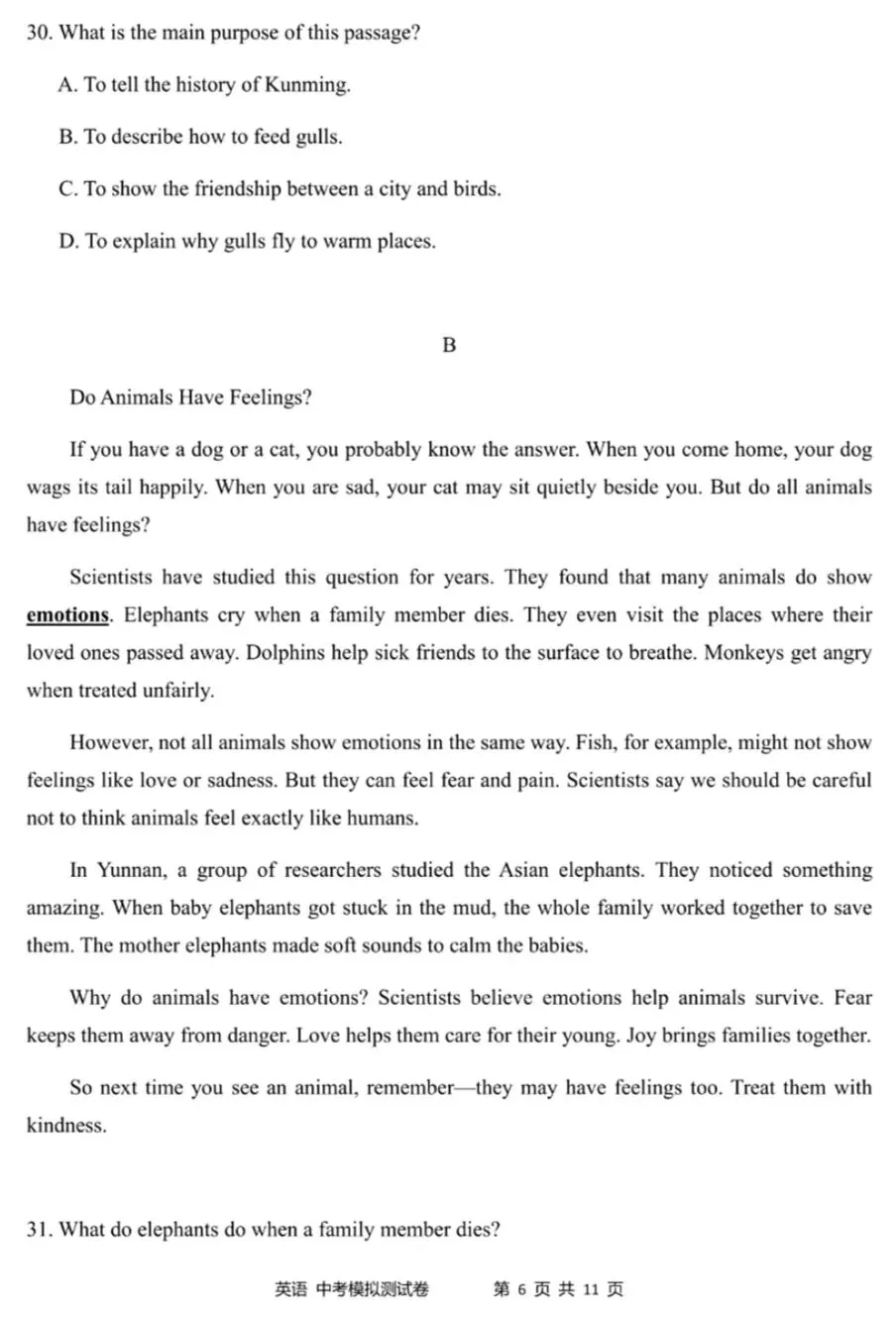 2026年云南省初中学业水平模拟测试英语试题卷(6) 第6张