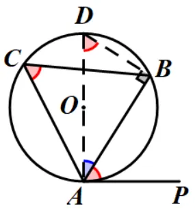 【25中考03】2025年天津市中考数学第18题,网格作图&弦切角的性质与延伸 第10张