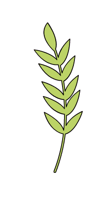 别找了!北师大汉硕考研真题免费领!(内附领取教程) 第3张