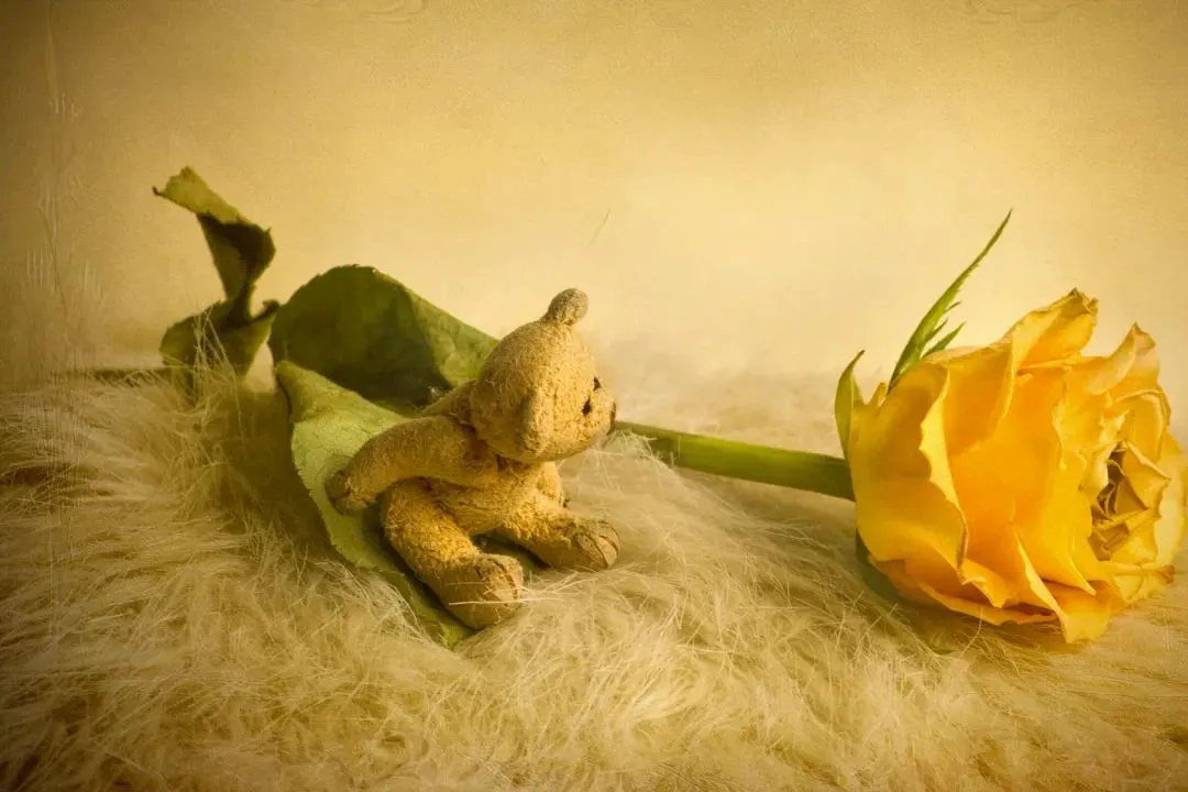 珍藏品读:《押送高考试卷那天,家长堵了我的车不让我进校门》(最新-完整)閲读 第7张