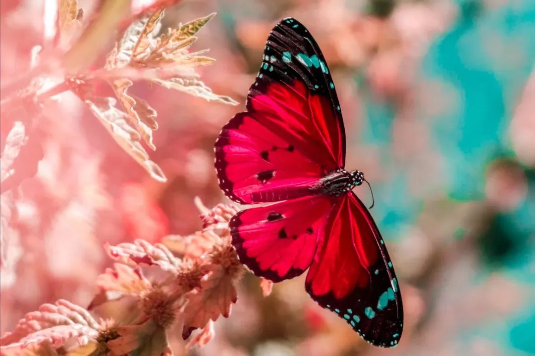 珍藏品读:《押送高考试卷那天,家长堵了我的车不让我进校门》(最新-完整)閲读 第8张