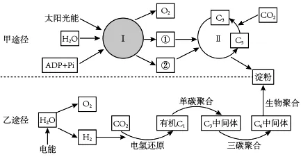 试卷精选║河北省石家庄实验中学2026届高三年级第二次调研考试生物 第1张