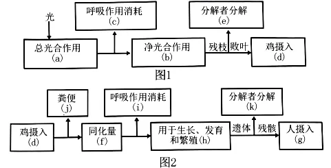 试卷精选║河北省石家庄实验中学2026届高三年级第二次调研考试生物 第8张