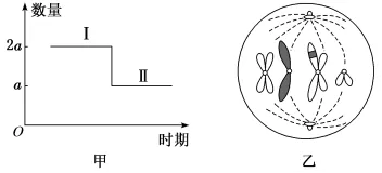 试卷精选║河北省石家庄实验中学2026届高三年级第二次调研考试生物 第9张