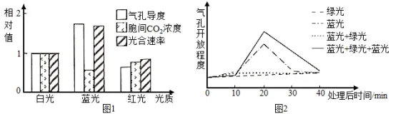 试卷精选║河北省石家庄实验中学2026届高三年级第二次调研考试生物 第11张