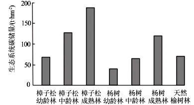 试卷精选║河北省石家庄实验中学2026届高三年级第二次调研考试生物 第13张