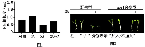 试卷精选║河北省石家庄实验中学2026届高三年级第二次调研考试生物 第14张