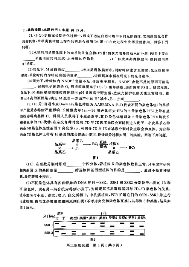 山东省济宁市2026年高三年级高考模拟考试(济宁二模)(4.22-4.24) 第6张