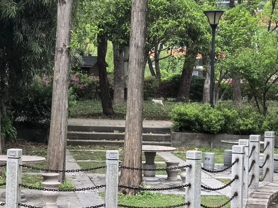 上海交大女生期中考高数前一天 第1张