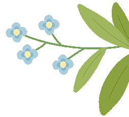 【教研活动】深耕中考复习 赋能高效课堂——英语组教研活动简报 第2张