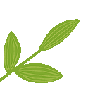 【教研活动】深耕中考复习 赋能高效课堂——英语组教研活动简报 第3张